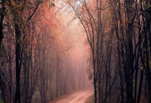 美媒高呼詹皇前无古人：对比老乔丹数据呈现碾压 40岁后场均26+9+8.