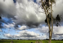 巴薩計劃向西甲提出判罰抗議 不再接受電視采訪.