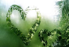 江南JN：國足12強賽對手迎來噩耗 阿曼國腳突發心臟病不治身亡.