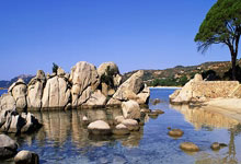 [乒乓球]林诗栋夺得男单冠军 成为新加坡大满贯赛三冠王.